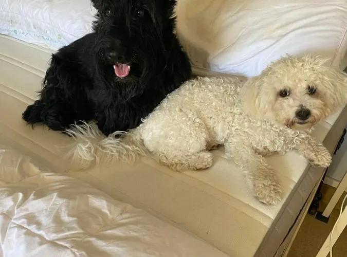 Bed & Breakfast The Wild Geese Nanteuil-en-Vallee