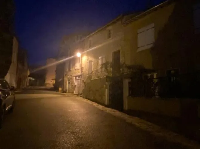 The Wild Geese Nanteuil-en-Vallee